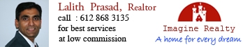 Lalit Prasad Indian Realtor Twin Cities